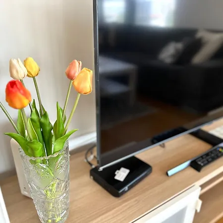 Apartamento 3 Apartment, Terrace, New Building, Old