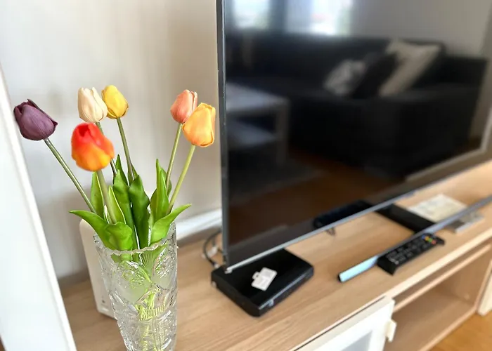 Appartement 3 Apartment, Terrace, New Building, Old